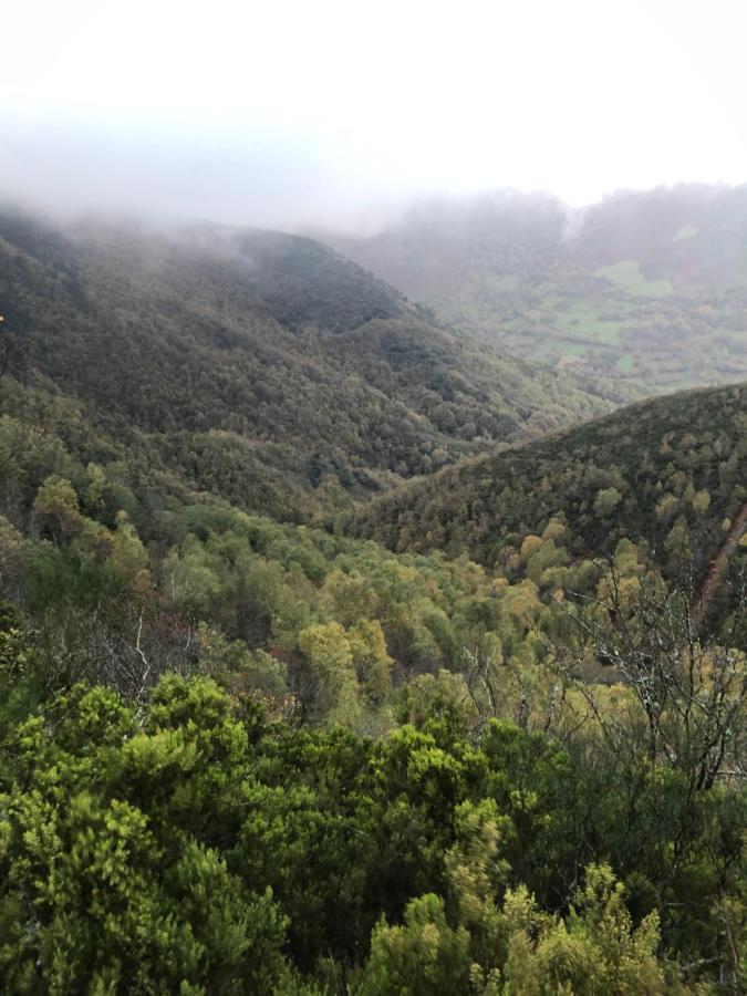 A Barreira -Lar Da Cima- Lägenhet Folgoso do Courel Exteriör bild