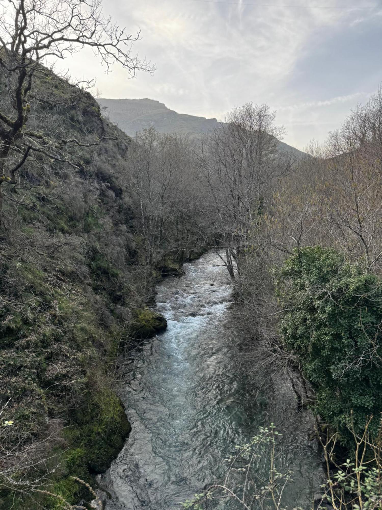 A Barreira -Lar Da Cima- Lägenhet Folgoso do Courel Exteriör bild