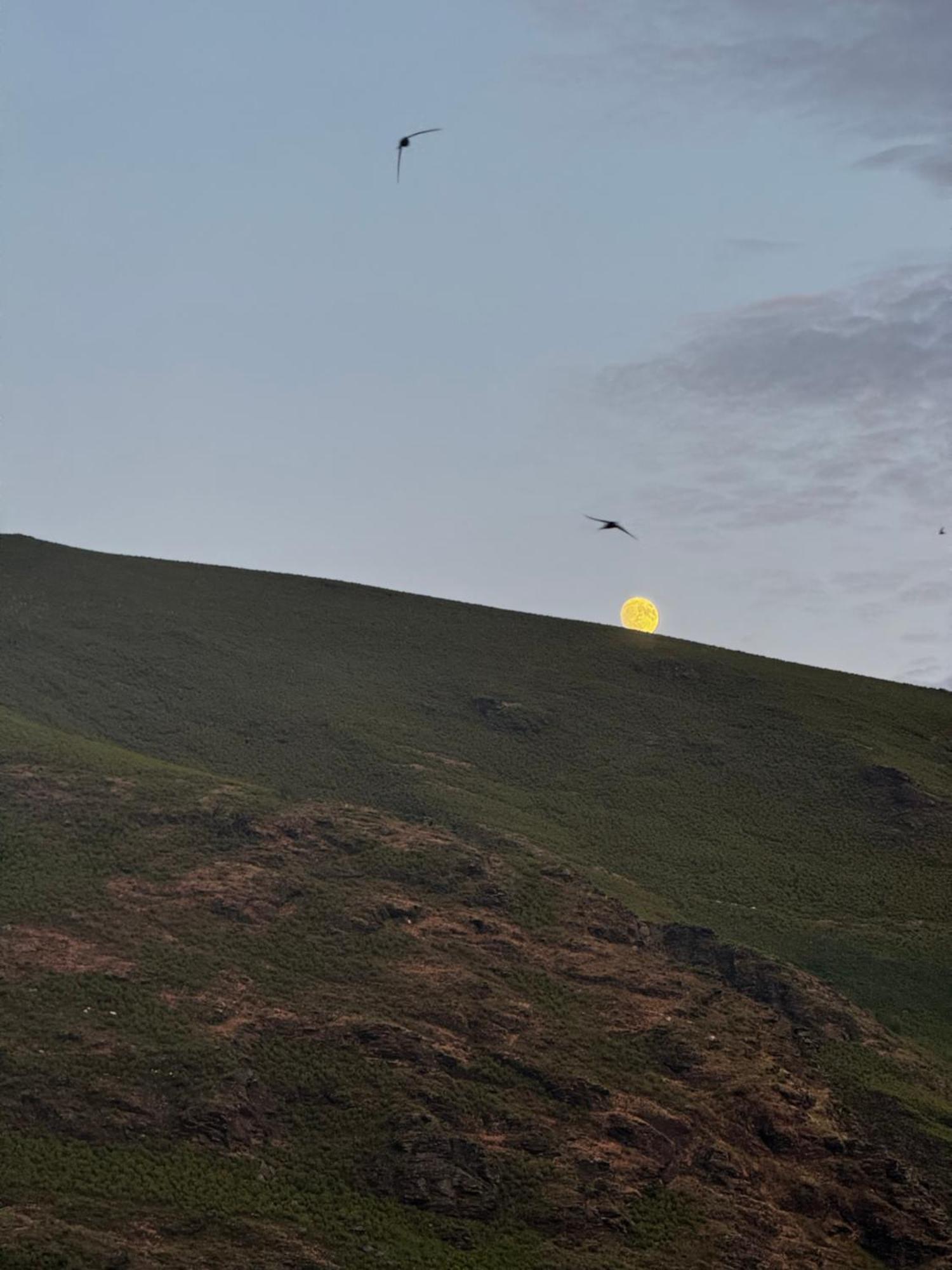 A Barreira -Lar Da Cima- Lägenhet Folgoso do Courel Exteriör bild