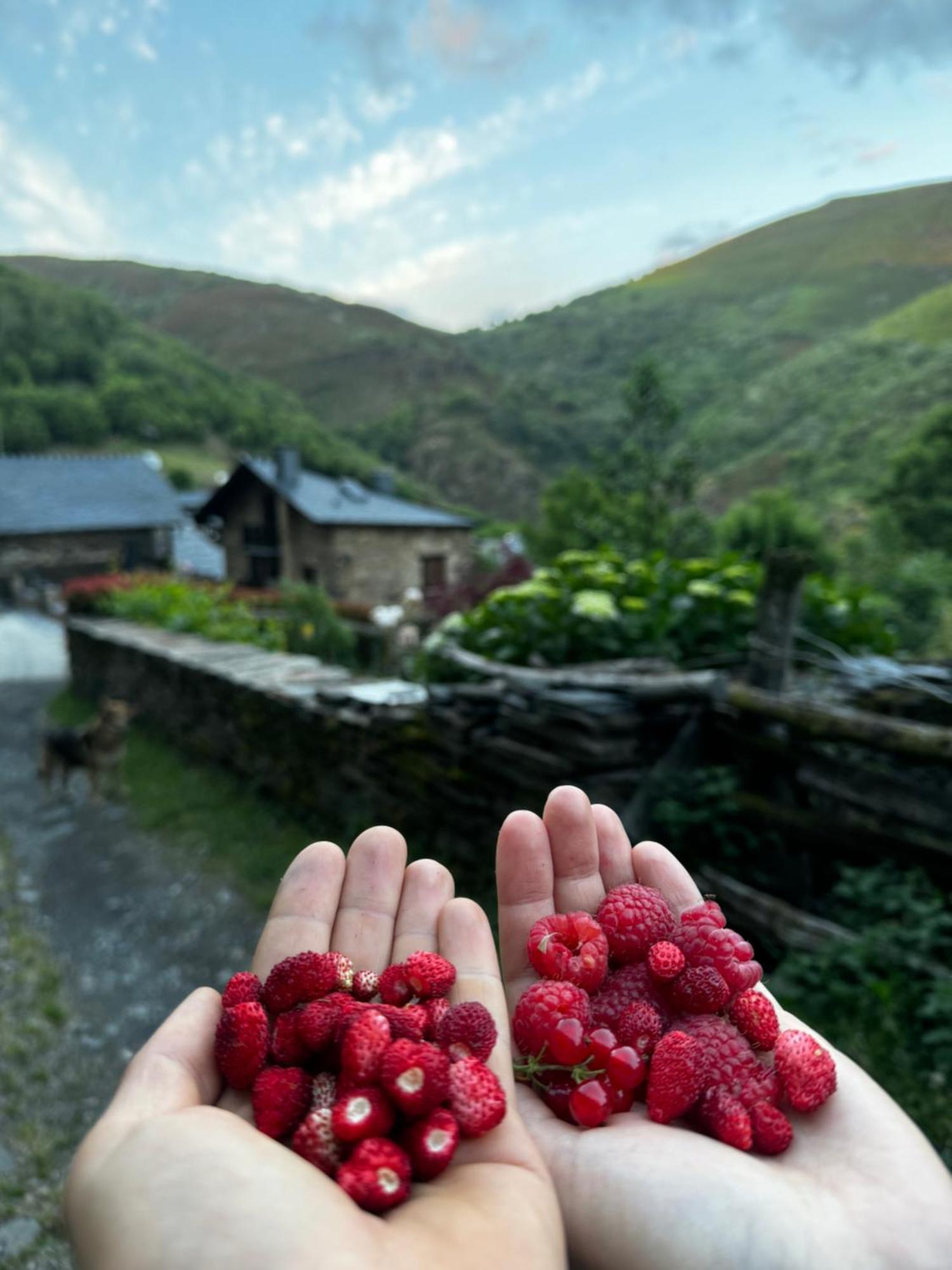 A Barreira -Lar Da Cima- Lägenhet Folgoso do Courel Exteriör bild